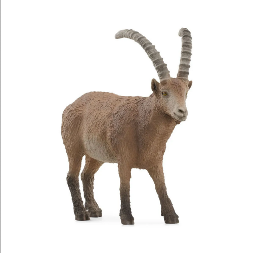 SCHLEICH 14873 Koziorożec alpejski