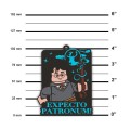 LEGO 53243 Magnes LEGO® Harry Potter™ Harry Potter™