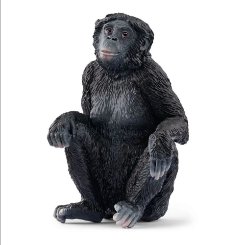 SCHLEICH 14875 Samica szympansa karłowatego