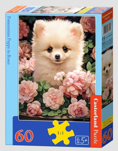Castorland 6261 Puzzle 60 Pomeranian Puppy in Roses