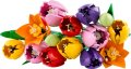 KLOCKI LEGO 11501 Bukiet tulipanów Z SERII LEGO Botanicals