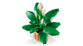 KLOCKI LEGO 11504 Skrzydłokwiat Z SERII LEGO Botanicals