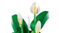 KLOCKI LEGO 11504 Skrzydłokwiat Z SERII LEGO Botanicals